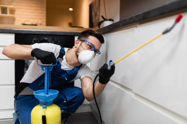 Best Pest Control for Homes  in Avenel, NJ