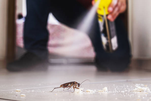 Best Rodent Control Near Me  in Avenel, NJ