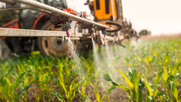 Best Mosquito Control Services  in Avenel, NJ